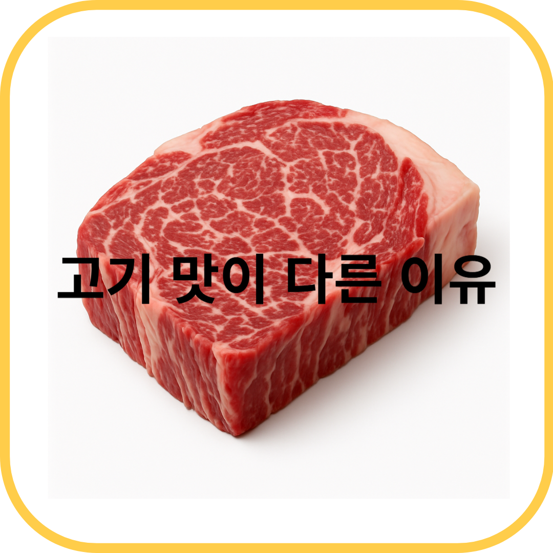 고기 맛이 다른 이유
