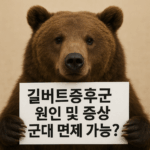 길버트증후군 증상, 검사, 치료, 유전일까? 군대 병역 면제 일까? 1 길버트증후군