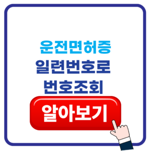 운전면허증 번호조회 방법 일련번호 위치 1 운전면허증 번호조회